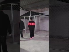 स्टील कुत्ते केनेल