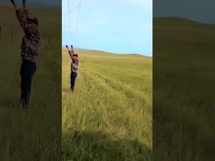 गर्म डुबकी जस्ती मवेशी बाड़ पैनल 8 फीट ऊंचाई फिक्स्ड गाँठ हिरण तार जाल बाड़