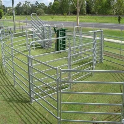 10 Foot Galvanized Pipe Portable Cattle Farm Fence Panel